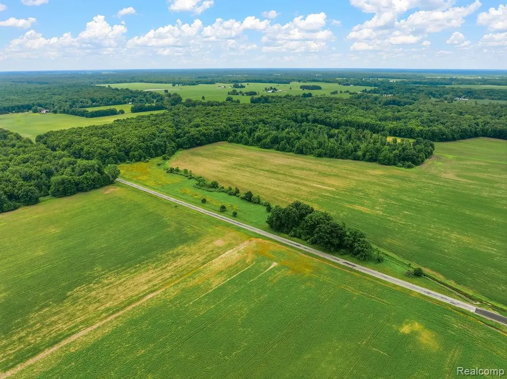 16545 W Ithaca Road Brant Township MI 48655