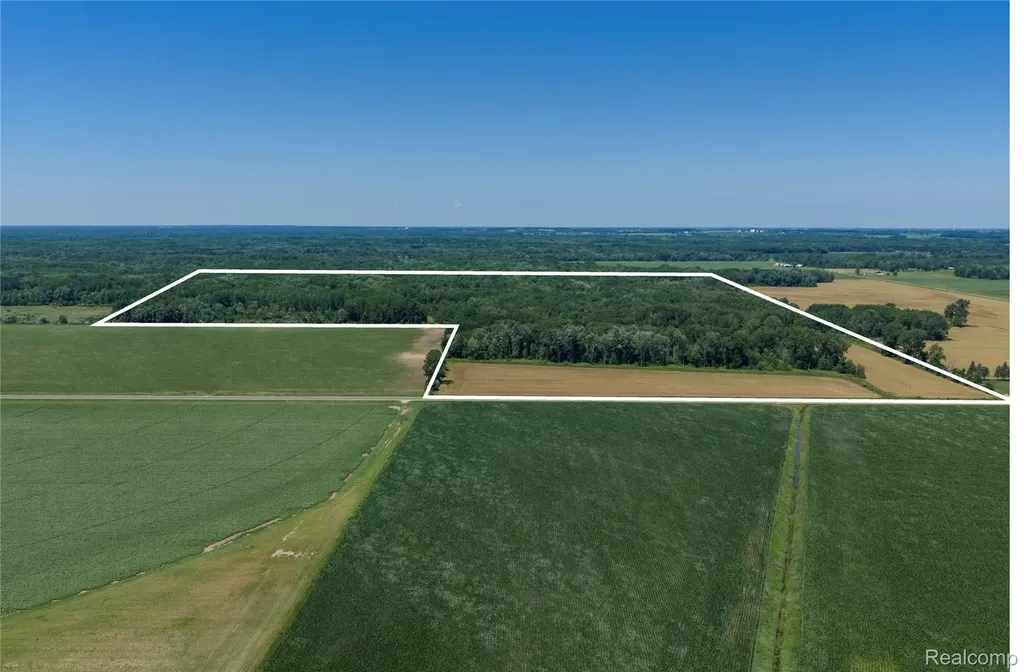 000 Dodge Road Ellington Township MI 48726