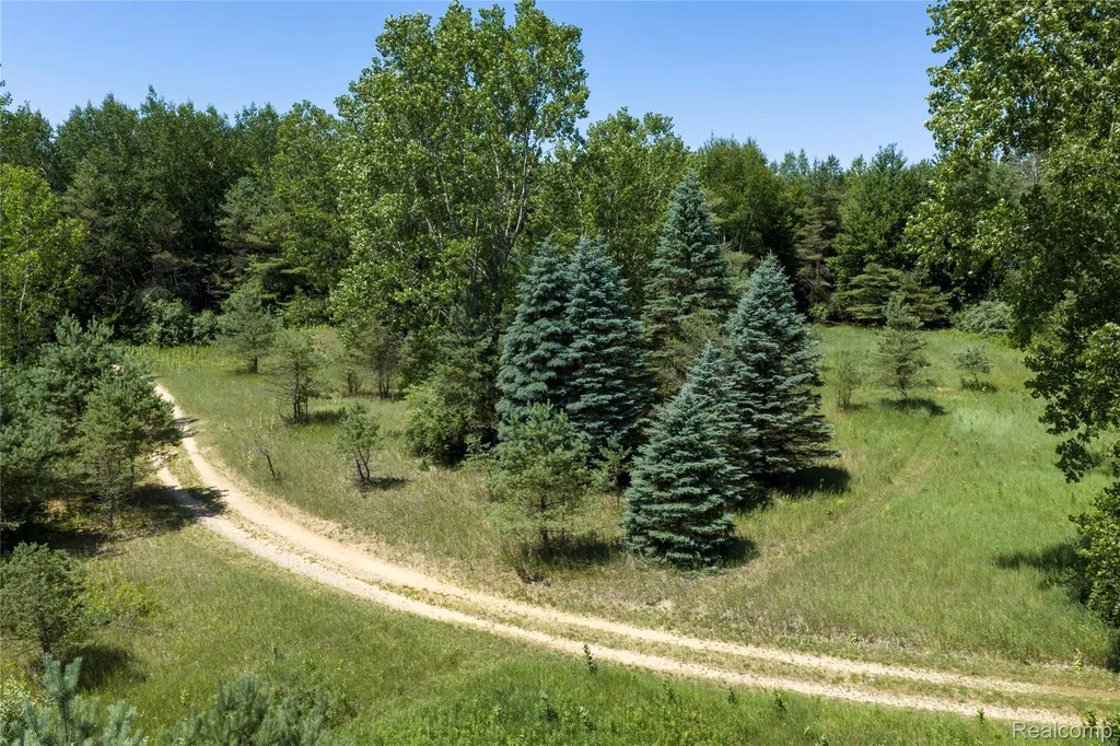000 Dodge Road Ellington Township MI 48726
