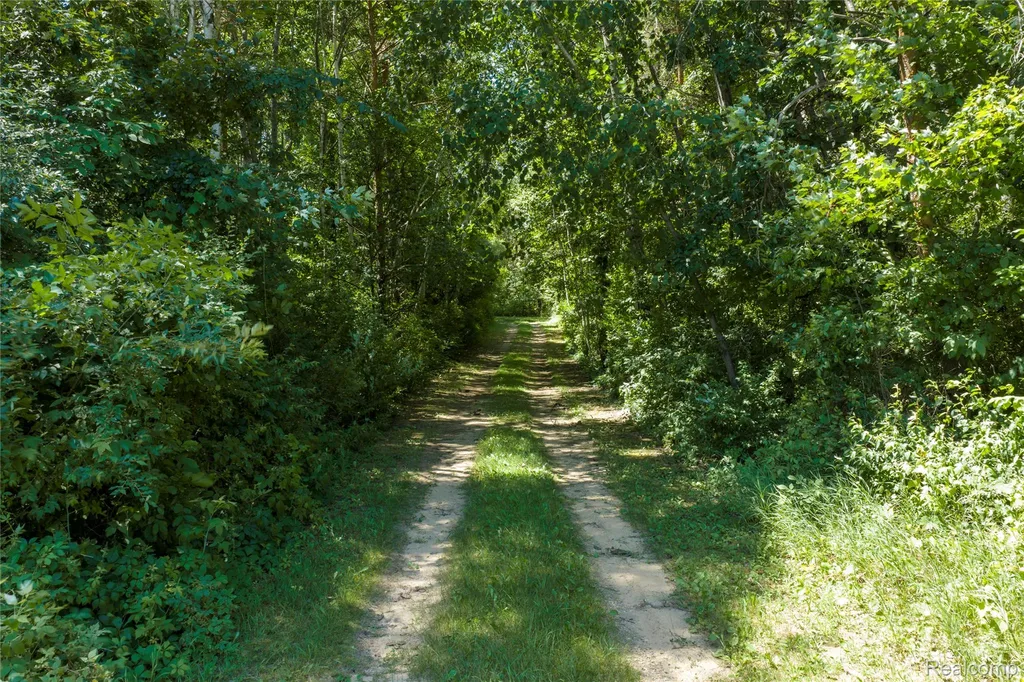 000 Dodge Road Ellington Township MI 48726