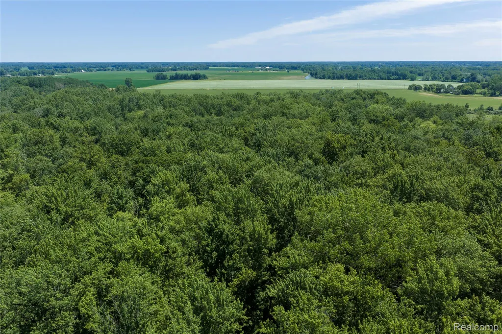 000 Dodge Road Ellington Township MI 48726