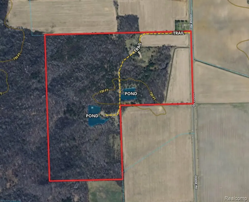 000 Dodge Road Ellington Township MI 48726