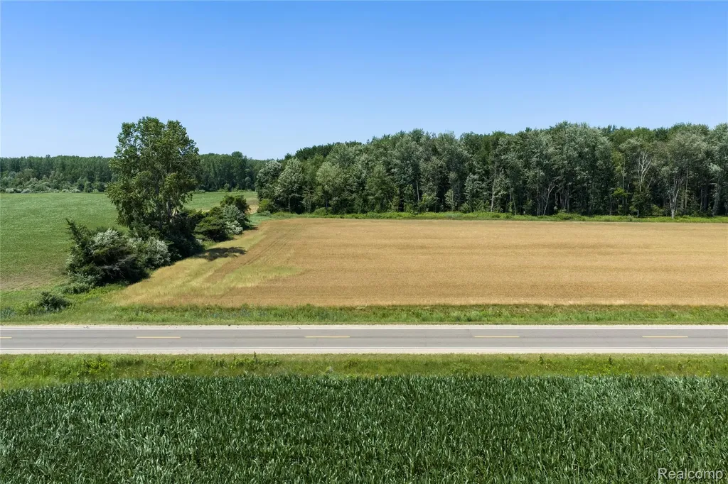 000 Dodge Road Ellington Township MI 48726