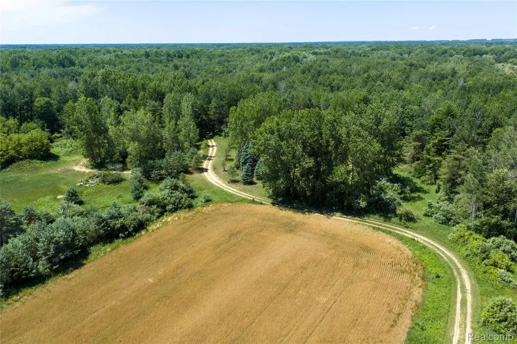 000 Dodge Road Ellington Township MI 48726