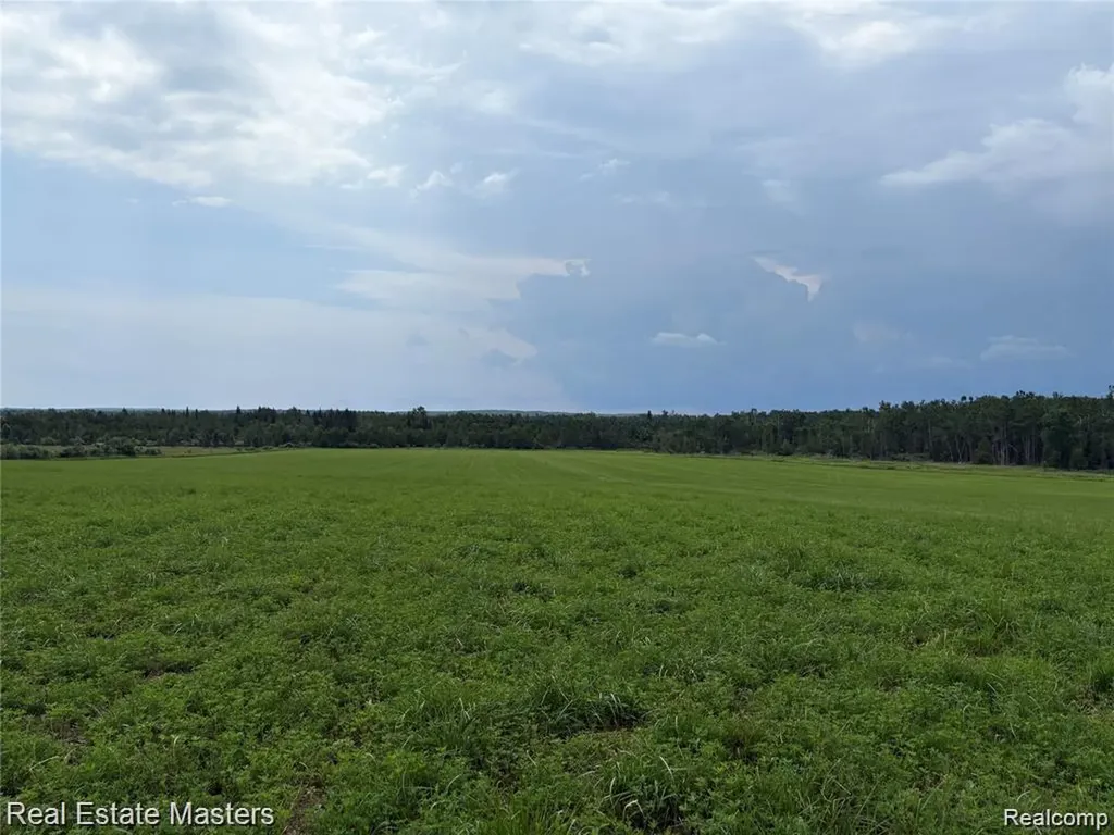 300 Hubert Caledonia Township MI 48762