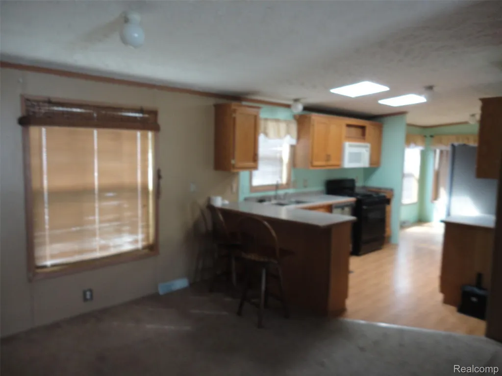 3954 Ryans Ridge Raisinville Township MI 48161