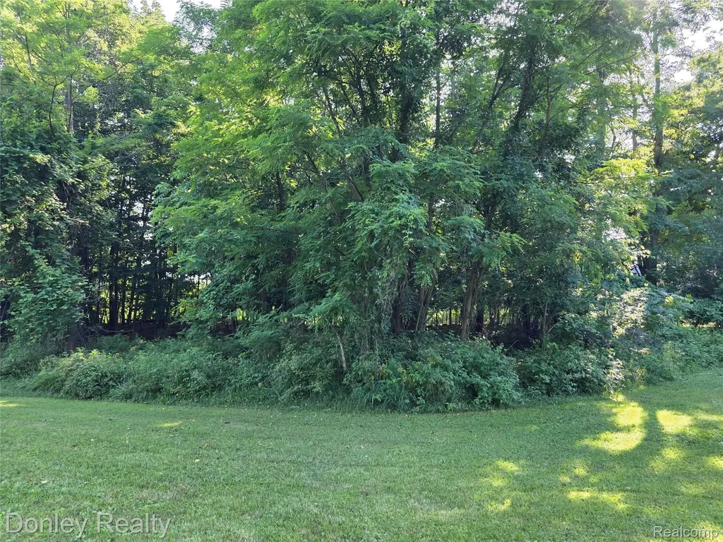 7311 Arendt Road Speaker Township MI 48454