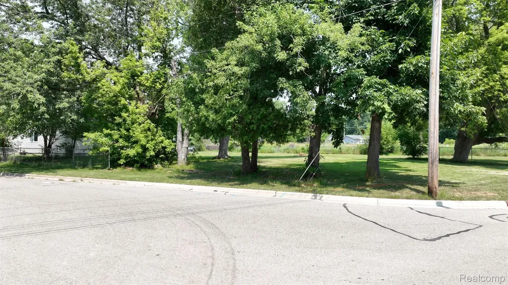 12210 W Washington Avenue Mt. Morris City MI 48458
