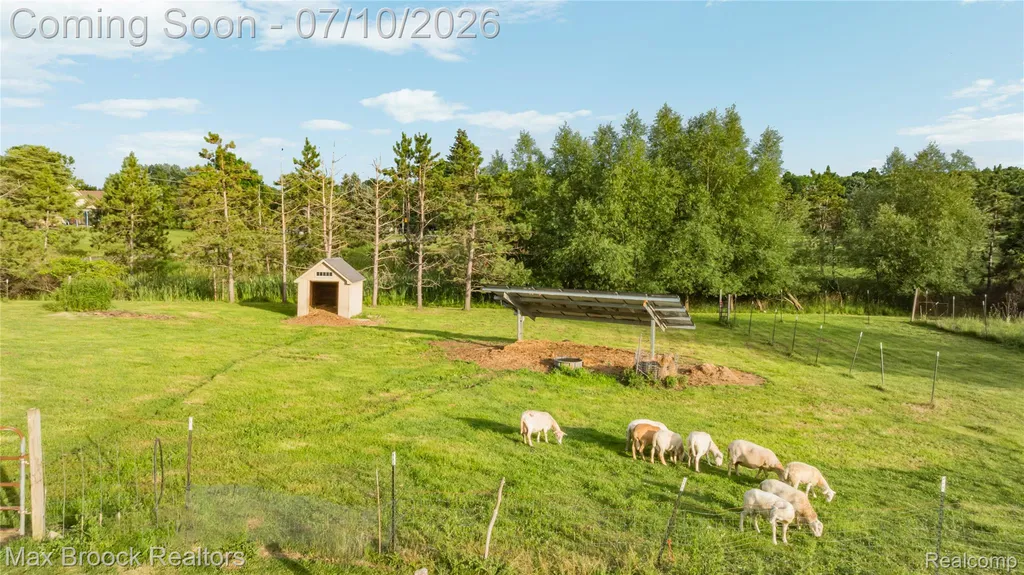 3054 Emery Lane Hadley Township MI 48455