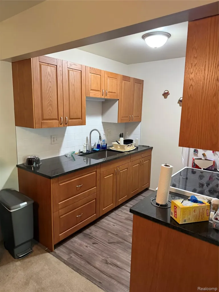 26790 Joy Road Redford Charter Township MI 48239