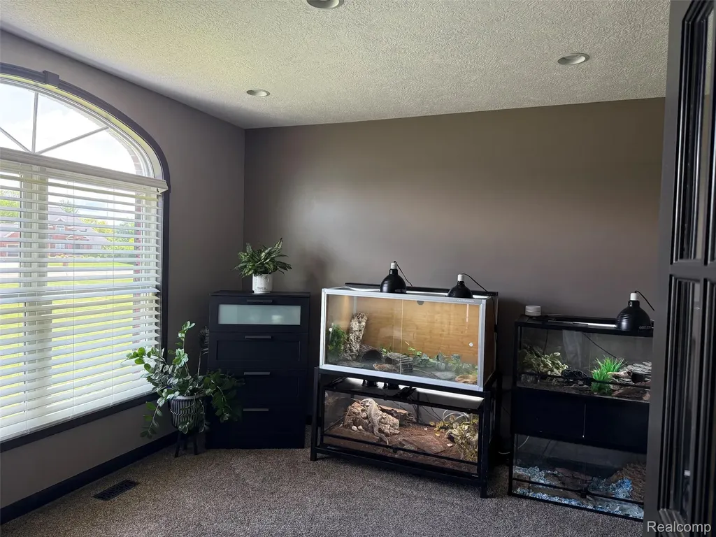 16118 Jeff Court Watertown Charter Township MI 48837