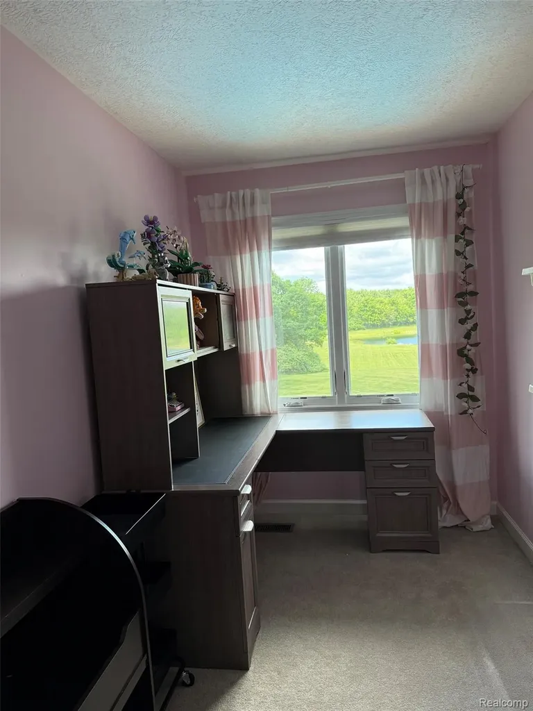 16118 Jeff Court Watertown Charter Township MI 48837