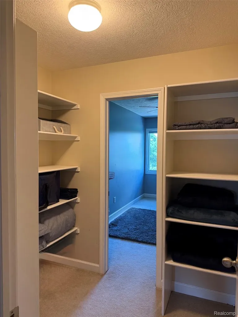 16118 Jeff Court Watertown Charter Township MI 48837