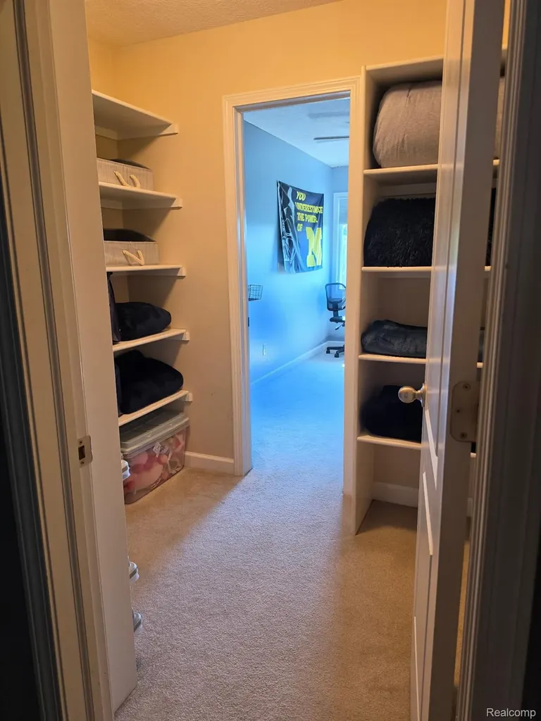 16118 Jeff Court Watertown Charter Township MI 48837