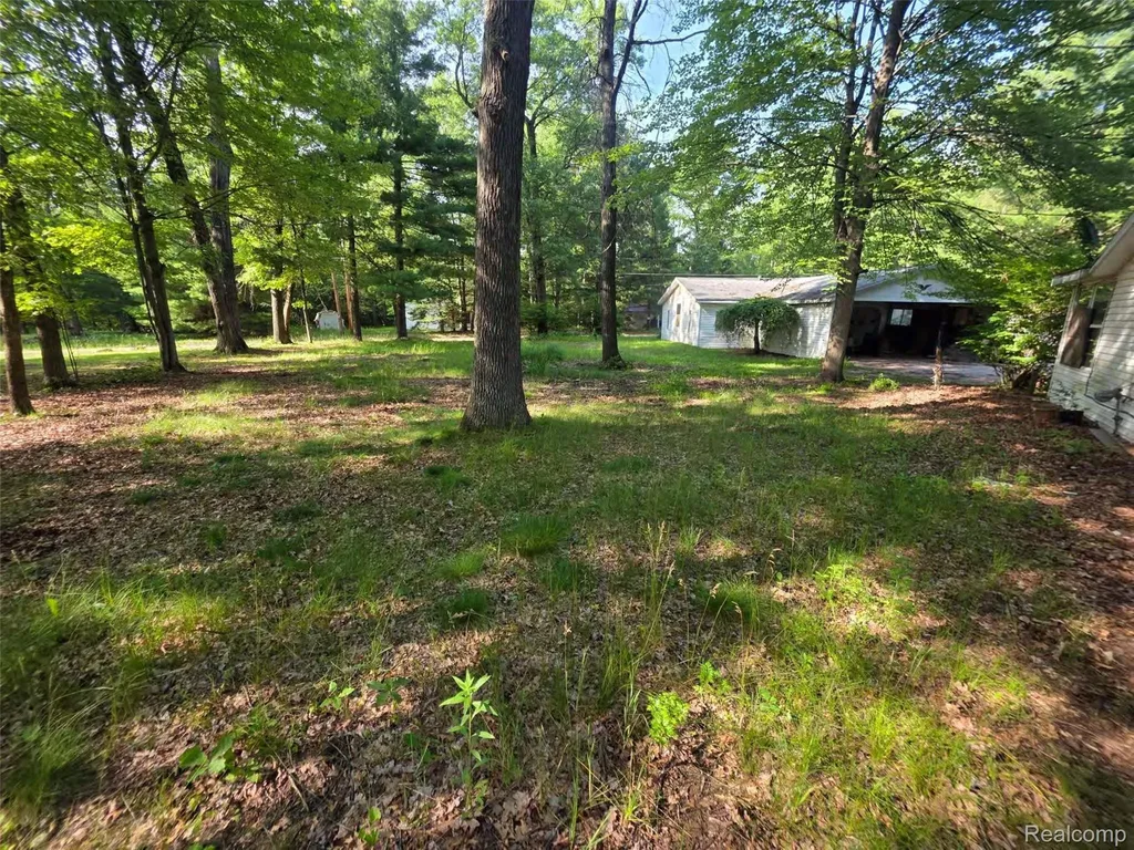 5420 Randy Drive Mills Township MI 48756