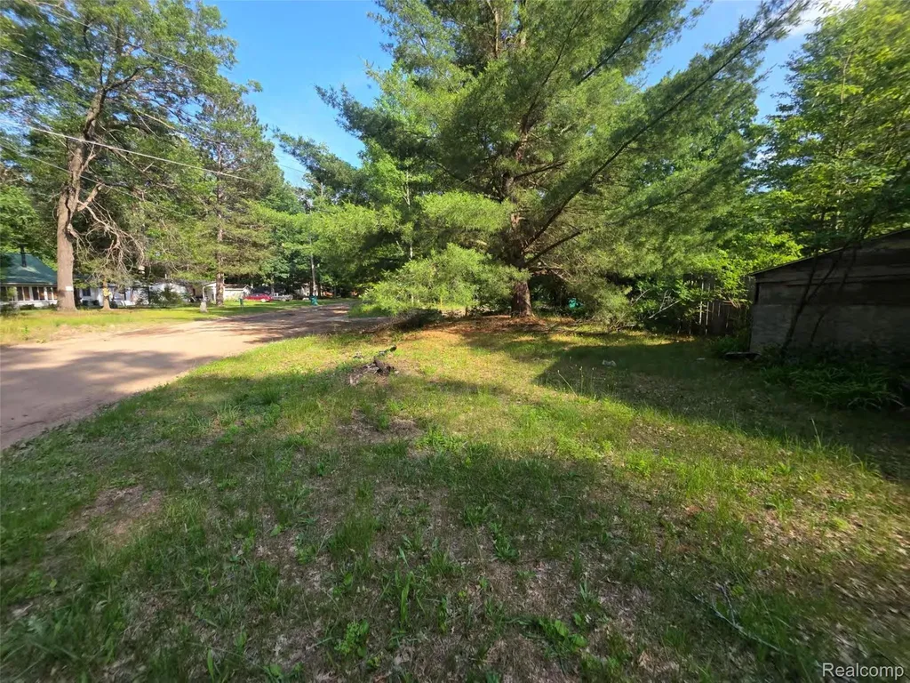 5420 Randy Drive Mills Township MI 48756