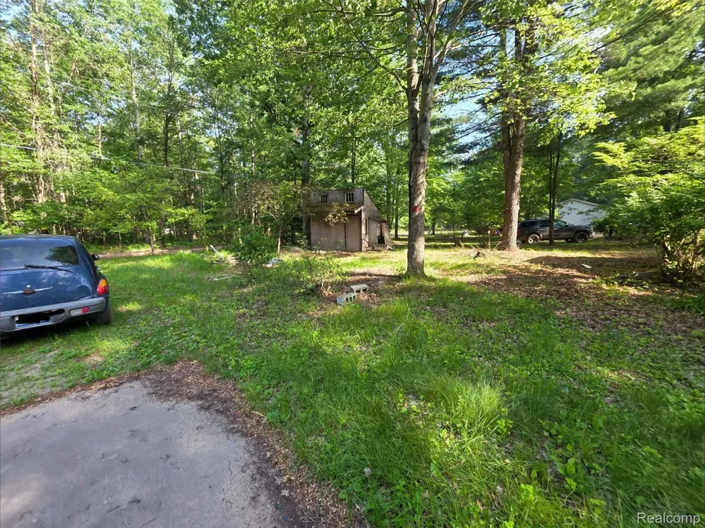 5420 Randy Drive Mills Township MI 48756