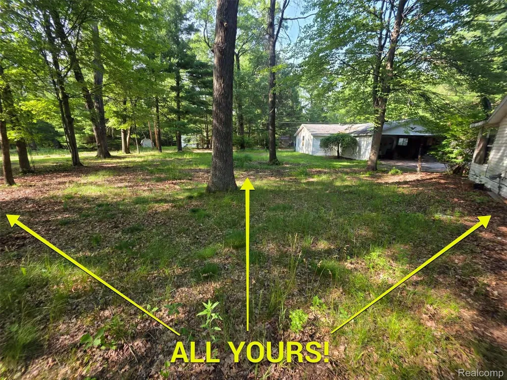5420 Randy Drive Mills Township MI 48756