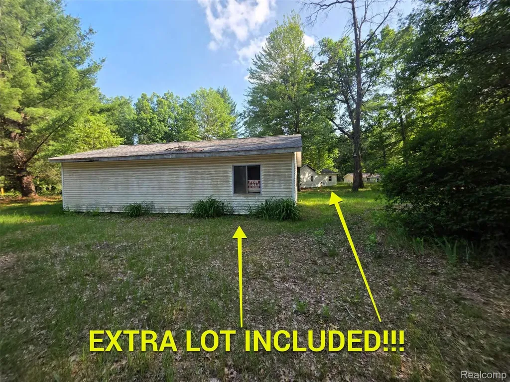 5420 Randy Drive Mills Township MI 48756