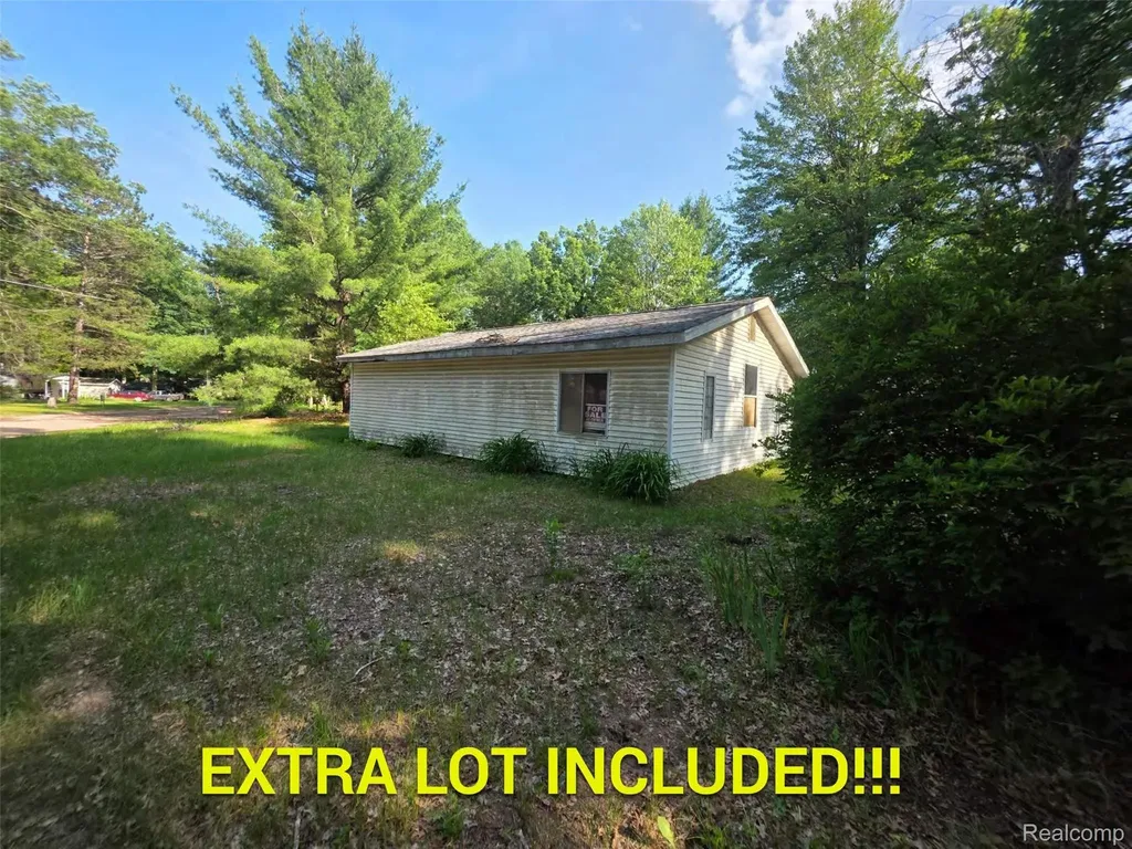 5420 Randy Drive Mills Township MI 48756