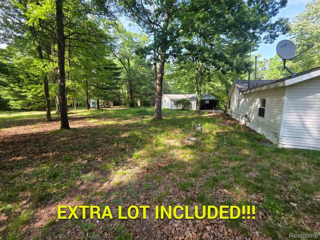 5420 Randy Drive Mills Township MI 48756