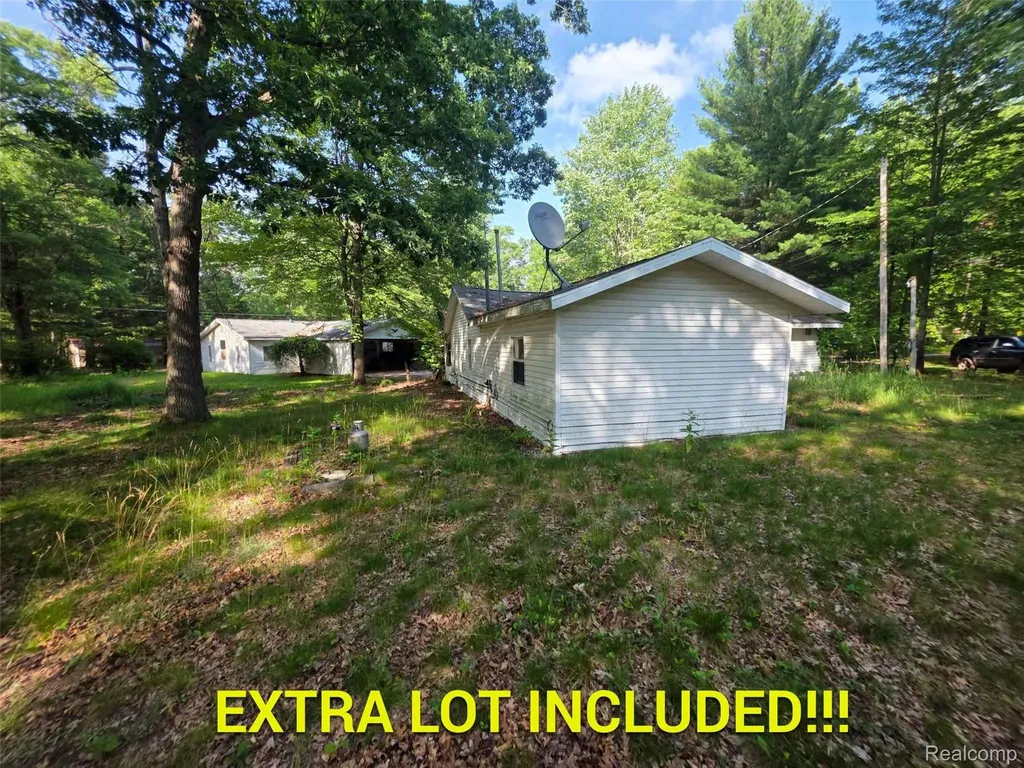 5420 Randy Drive Mills Township MI 48756