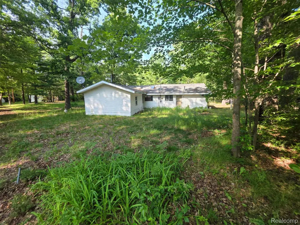 5420 Randy Drive Mills Township MI 48756