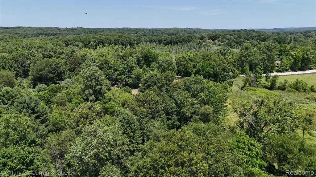 13505 Island Lake Road Dexter Township MI 48118