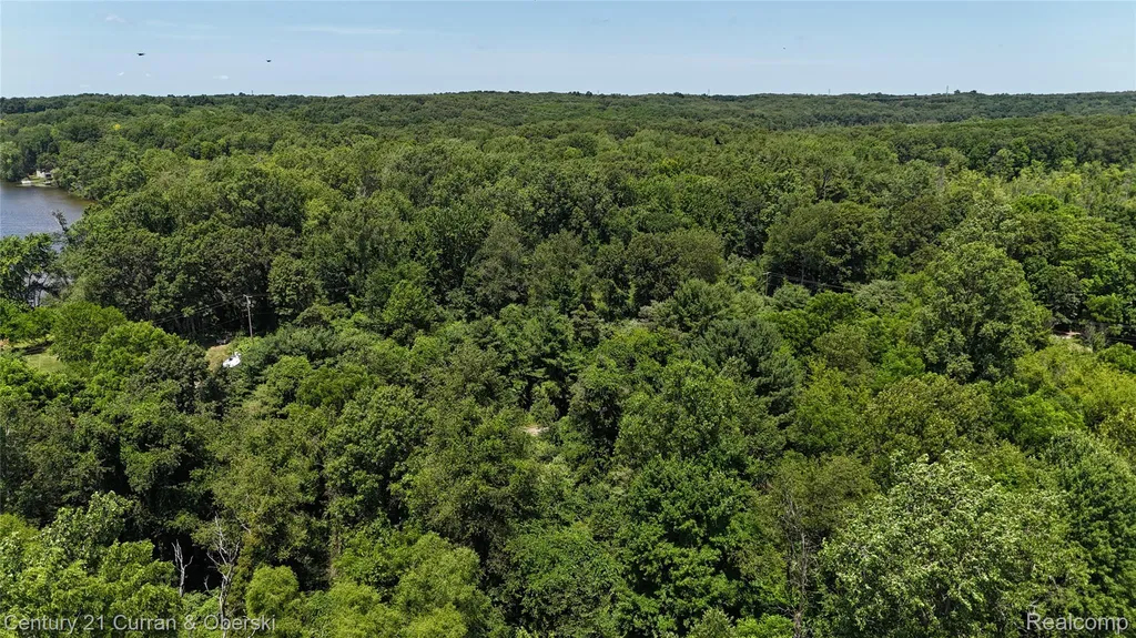 13505 Island Lake Road Dexter Township MI 48118