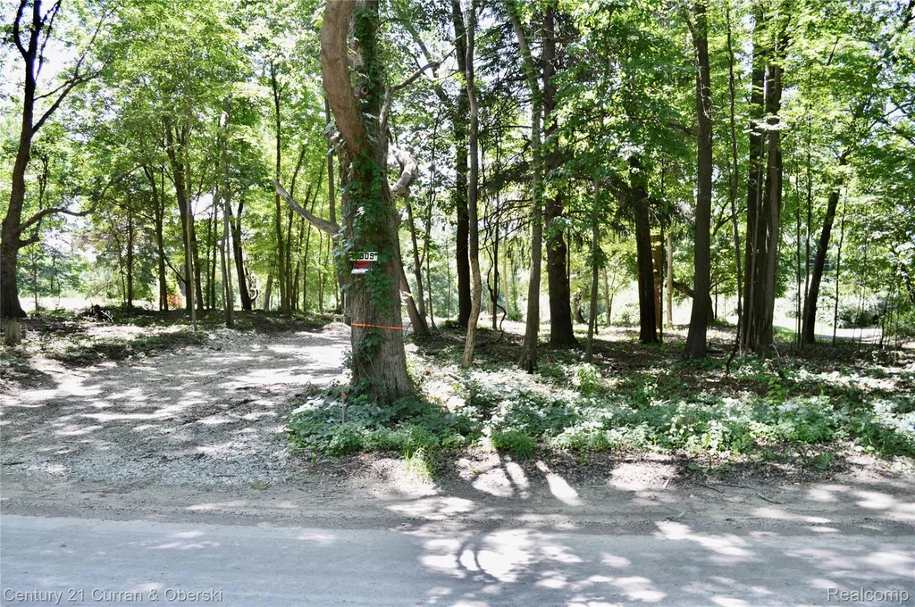 13505 Island Lake Road Dexter Township MI 48118