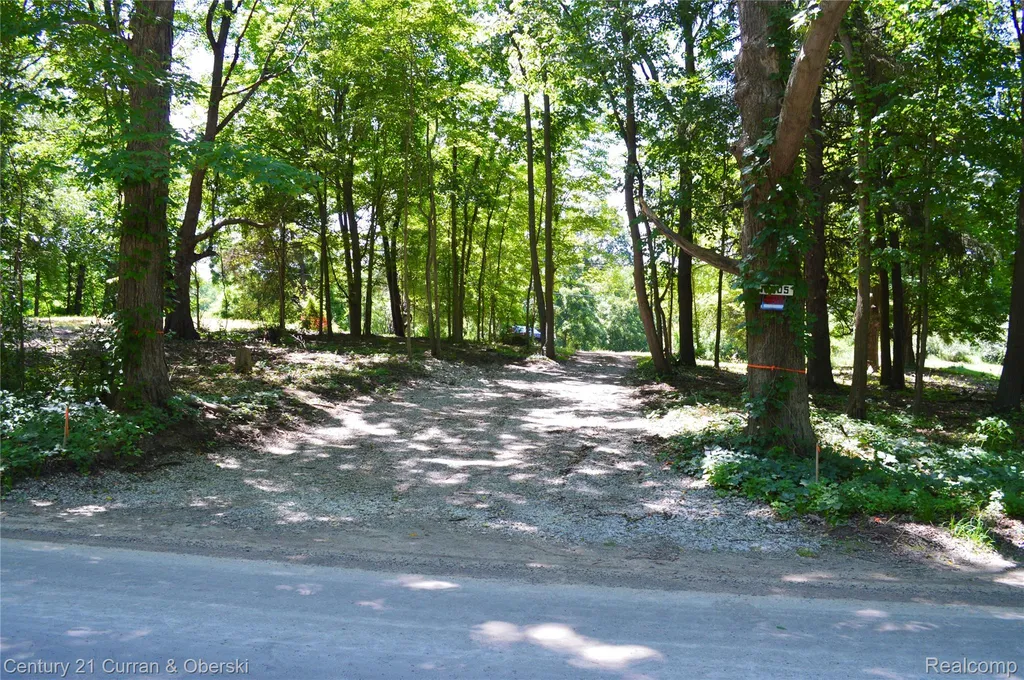 13505 Island Lake Road Dexter Township MI 48118