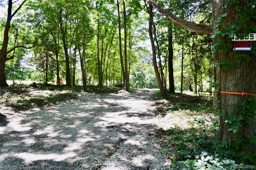 13505 Island Lake Road Dexter Township MI 48118
