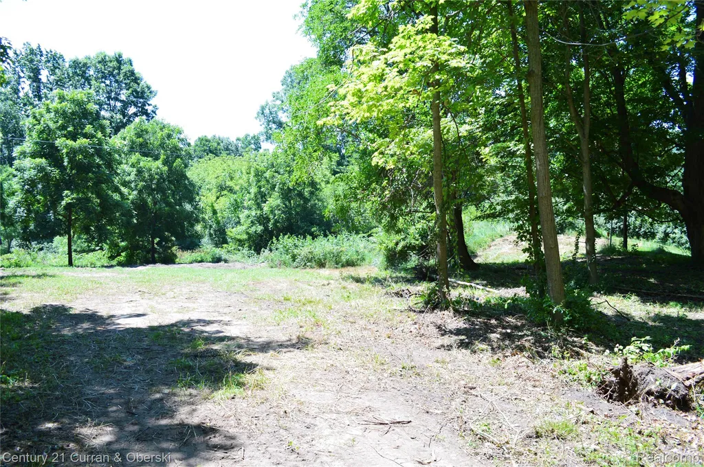 13505 Island Lake Road Dexter Township MI 48118