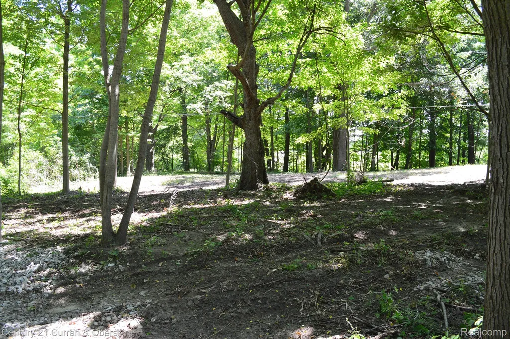 13505 Island Lake Road Dexter Township MI 48118