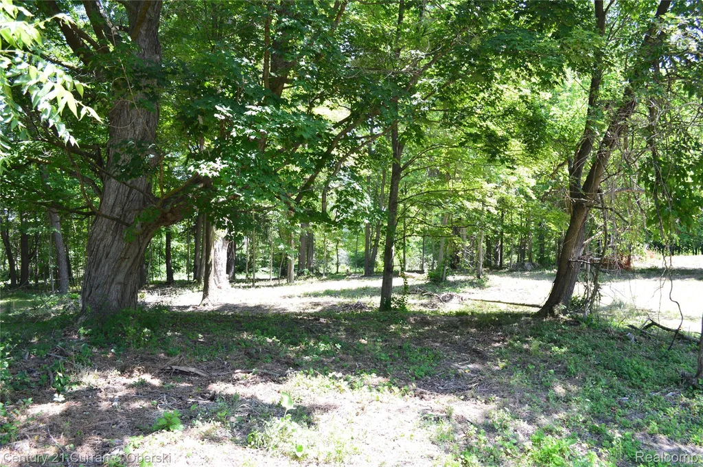 13505 Island Lake Road Dexter Township MI 48118