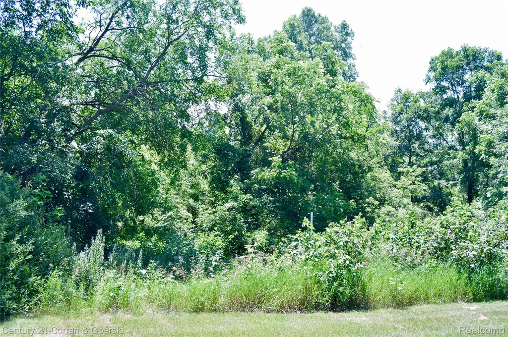13505 Island Lake Road Dexter Township MI 48118