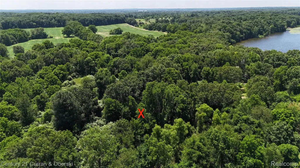 13505 Island Lake Road Dexter Township MI 48118