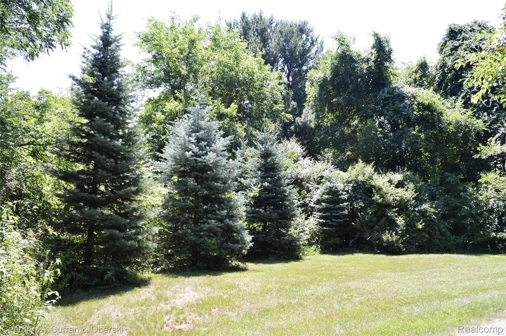 13505 Island Lake Road Dexter Township MI 48118