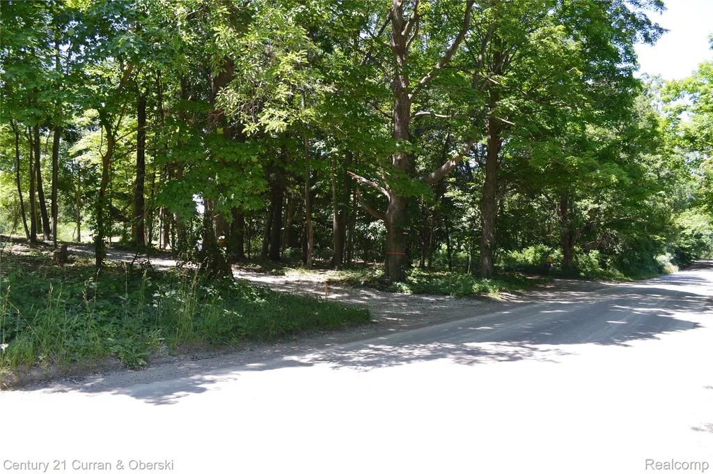 13505 Island Lake Road Dexter Township MI 48118
