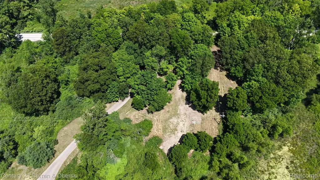13505 Island Lake Road Dexter Township MI 48118