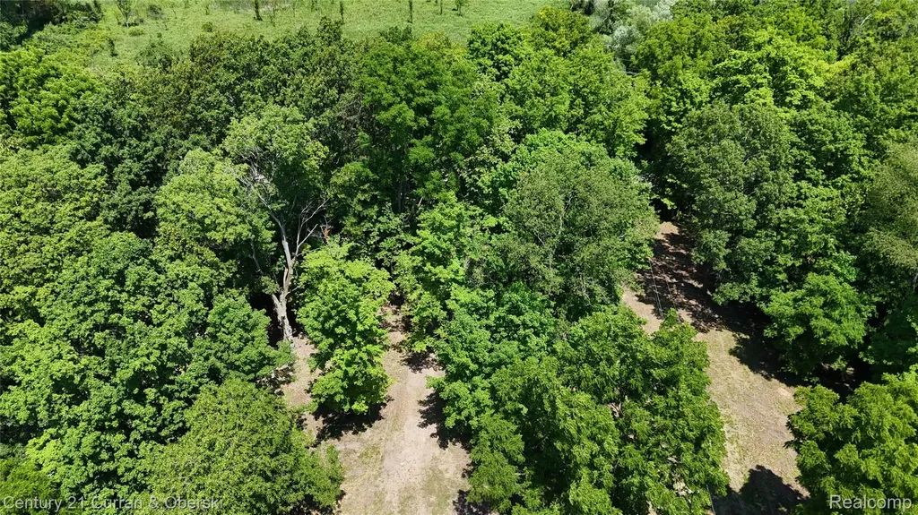 13505 Island Lake Road Dexter Township MI 48118