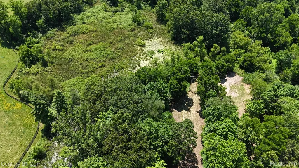 13505 Island Lake Road Dexter Township MI 48118