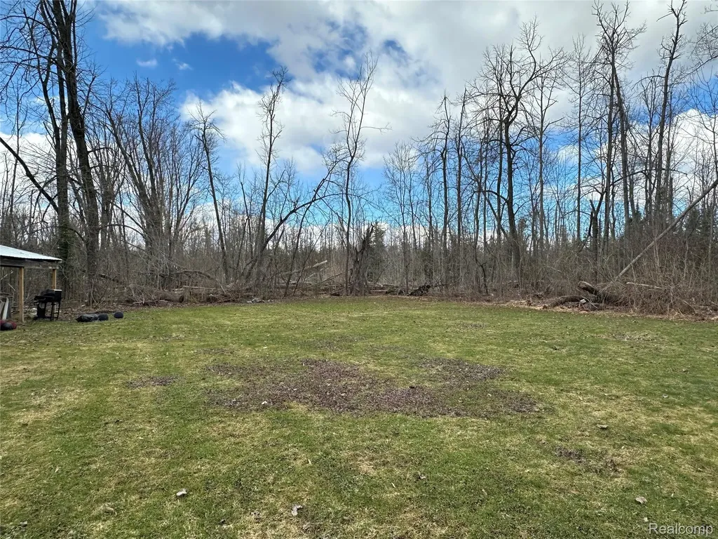 7726 Lake Street Alanson Village MI 49706