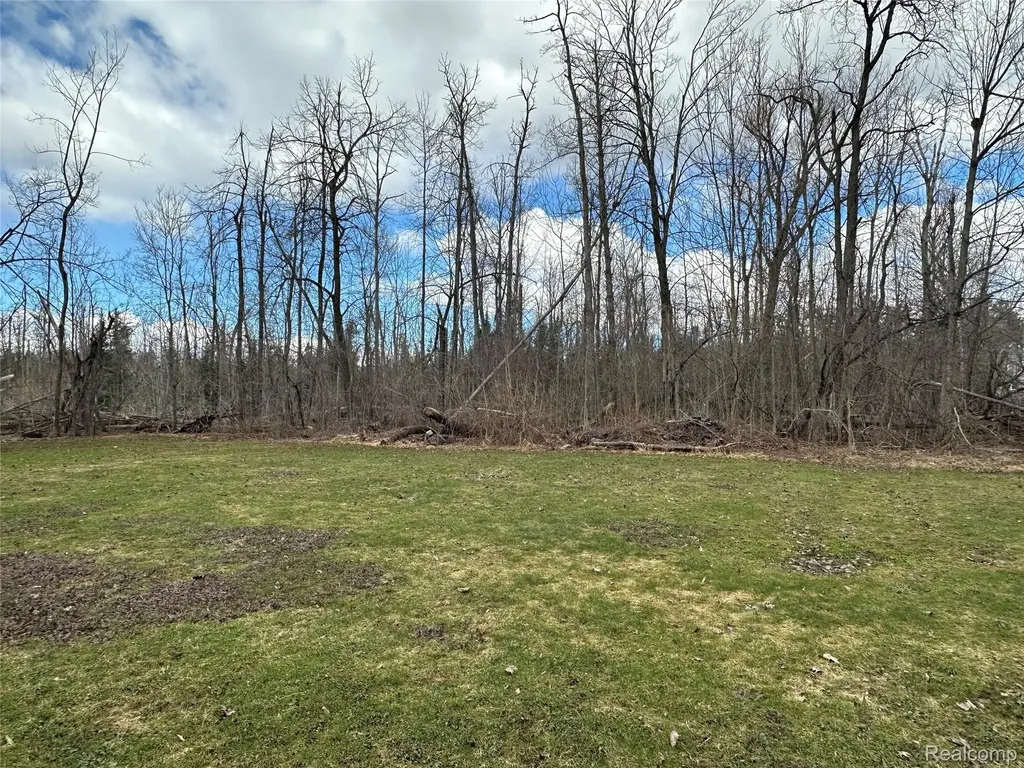7726 Lake Street Alanson Village MI 49706