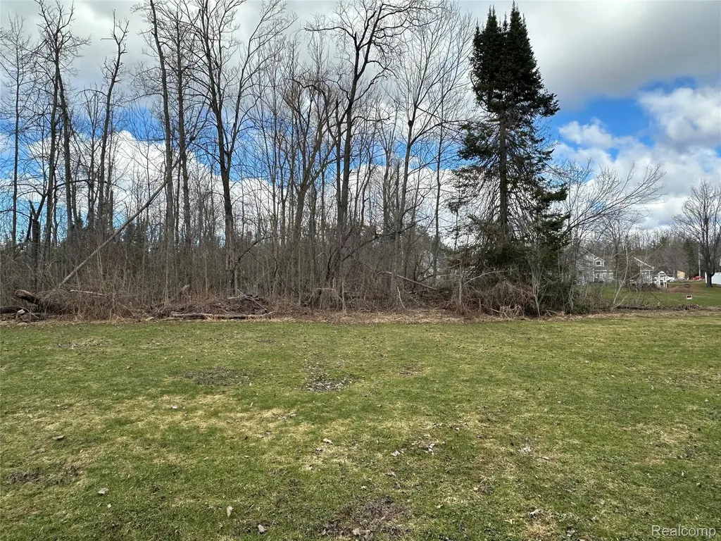 7726 Lake Street Alanson Village MI 49706