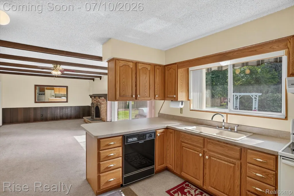 10376 Ataberry Drive Vienna Charter Township MI 48420
