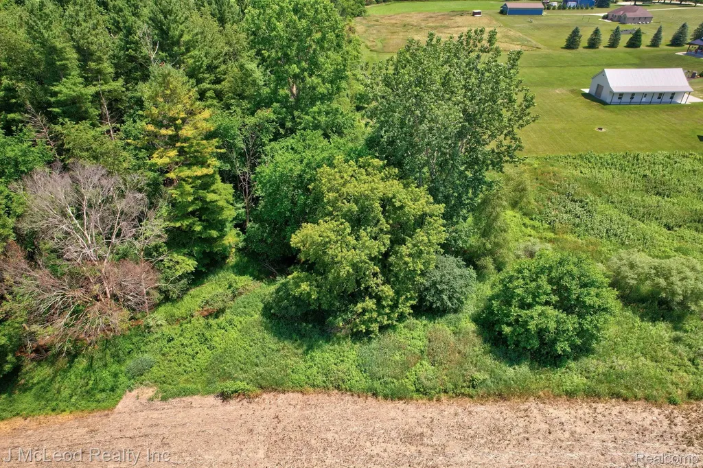 5160 Barnes Road Millington Township MI 48746