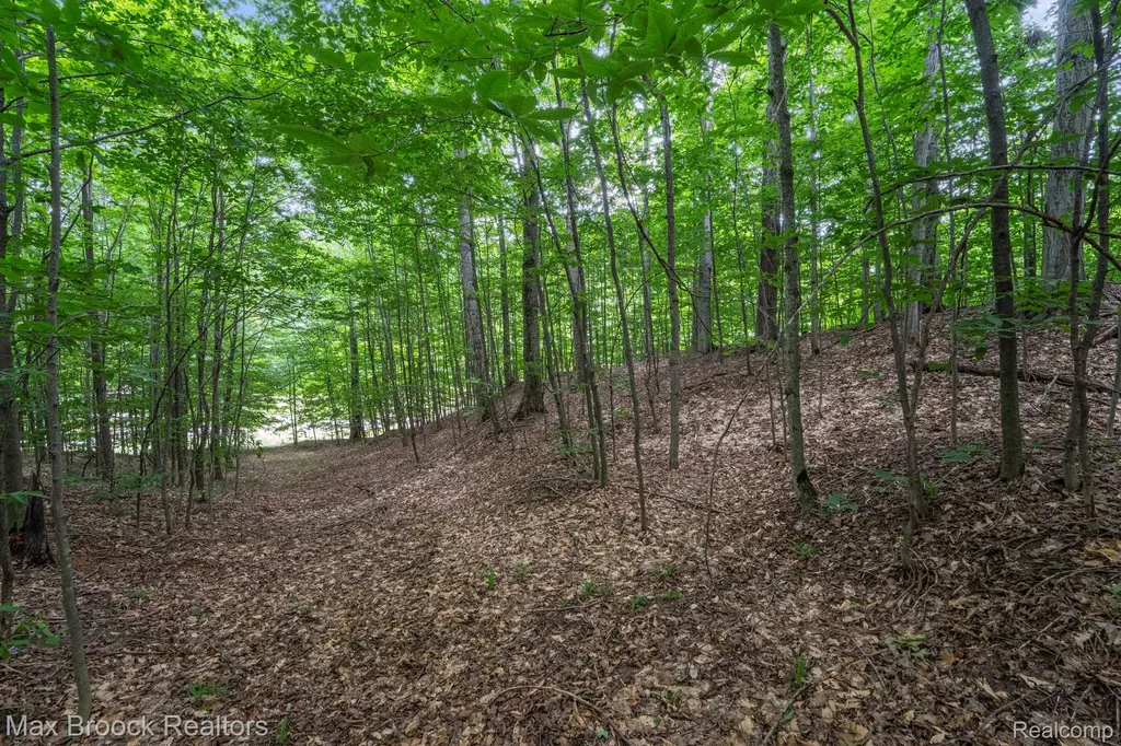 0000 Mackinaw Ridge Kasson Township MI 49630
