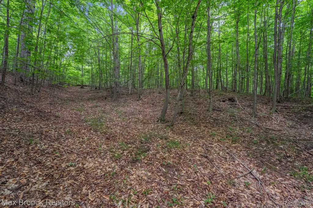 0000 Mackinaw Ridge Kasson Township MI 49630