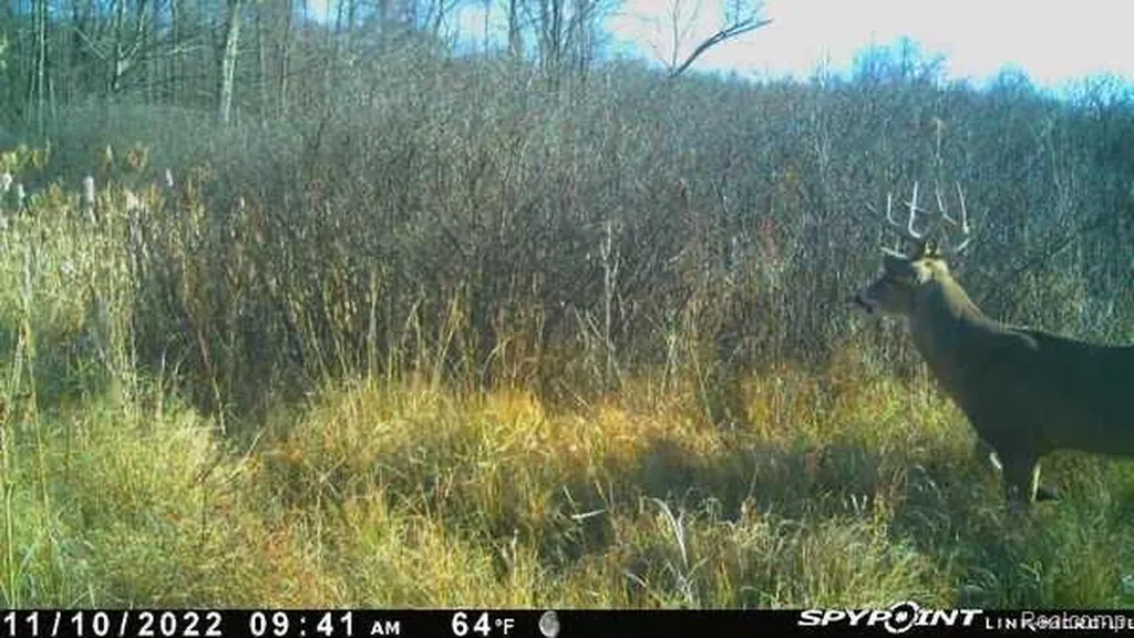 200 N Pleasant Valley Road Hartland Township MI 48380
